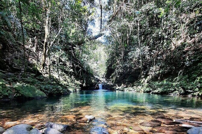 Trekking Journey Discover Bach Ma National Park from Hue - Final Verdict