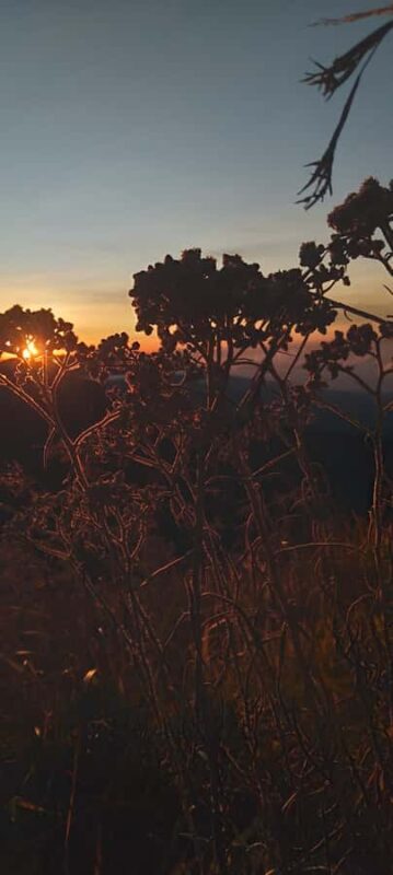 Trekking mount sangkareang (Tetebatu crater-rim) 2D1N - Introduction and First Impressions