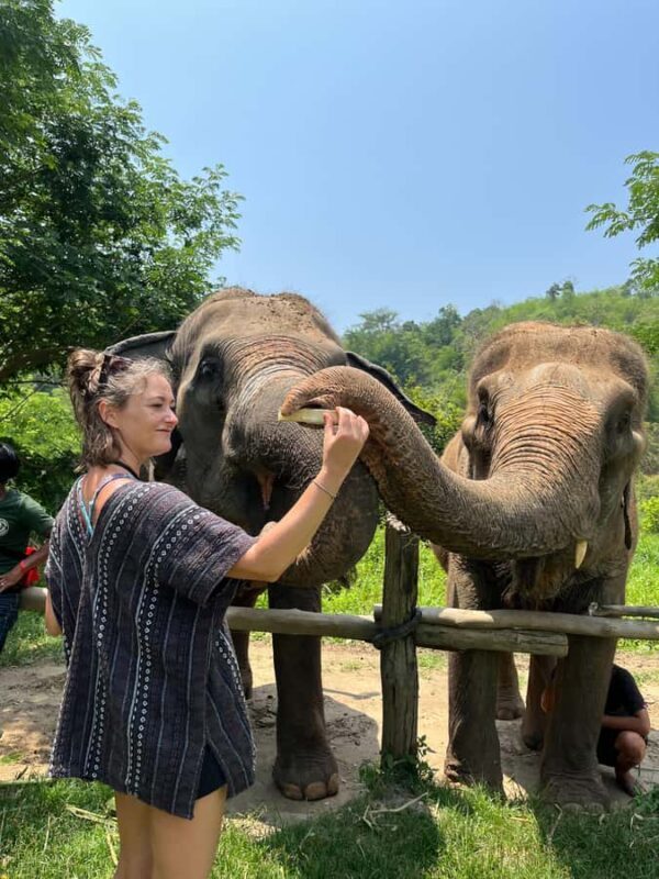 Trekking One Day with Elephant Care + Bamboo Rafting - Key Points