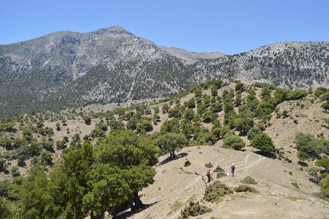 trekking-rouvas-gorge