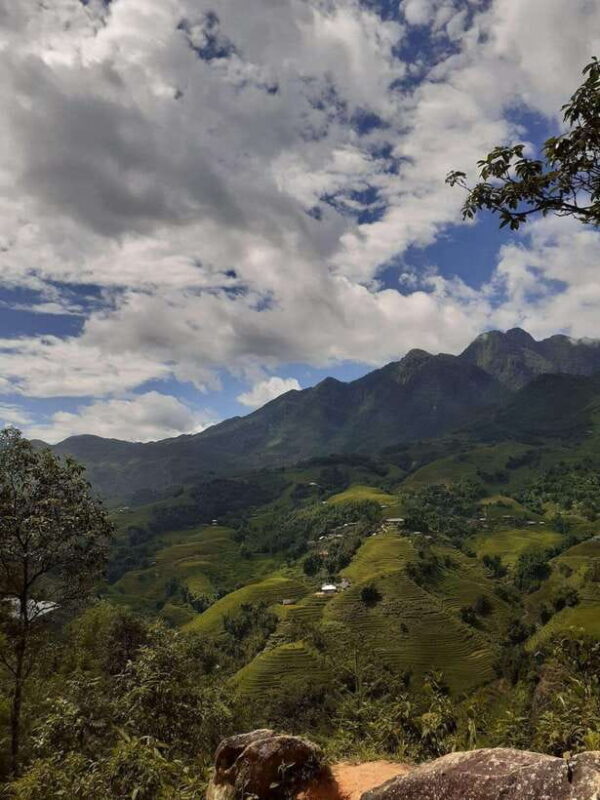 Trekking Sapa 1 Day With Local Guide, Terraced Rice Fields - Introduction to the Sapa Rice Fields Trek