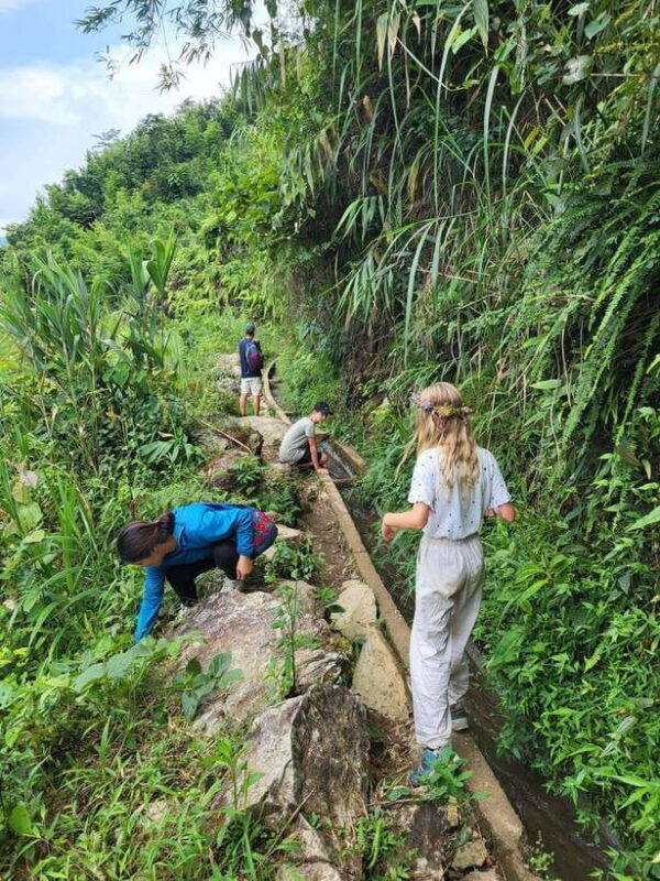 Trekking Sapa 1 Day With Local Guide, Terraced Rice Fields - Why This Tour Is a Good Choice