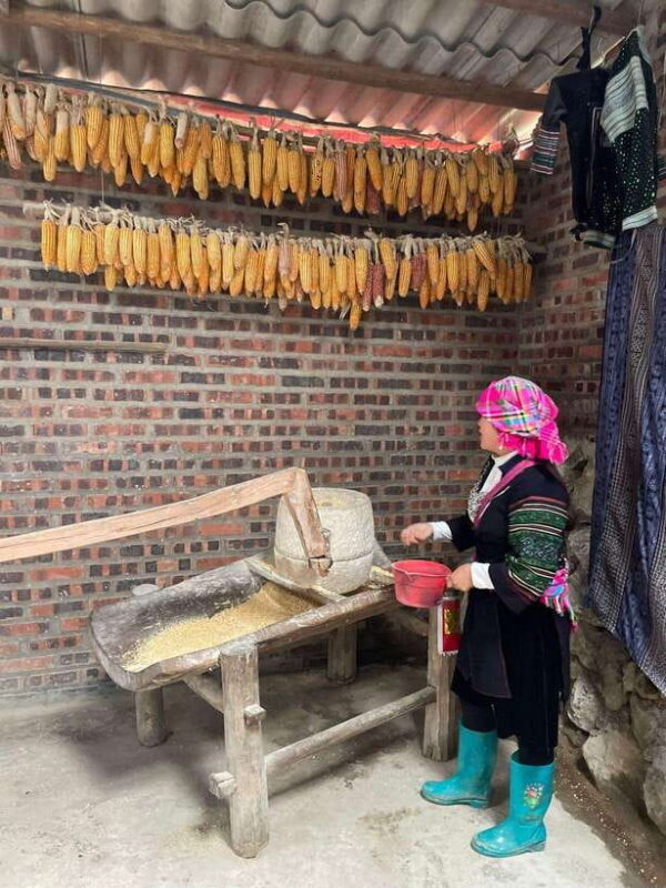 Trekking Sapa 1 Day With Local Guide, Terraced Rice Fields - The Practical Details and Why They Matter