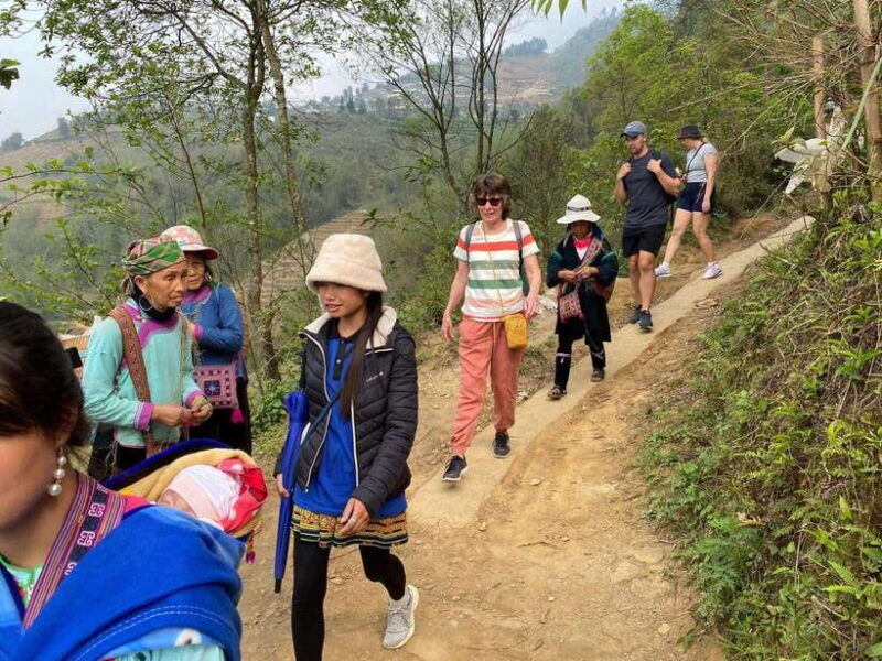 Trekking Sapa 1 Day With Local Guide, Terraced Rice Fields - Final Thoughts: Who Should Consider This Tour?
