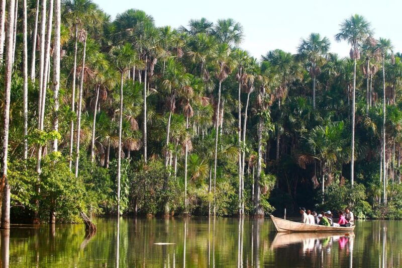 trekking-through-the-jungle-and-lake-sandoval-full-day