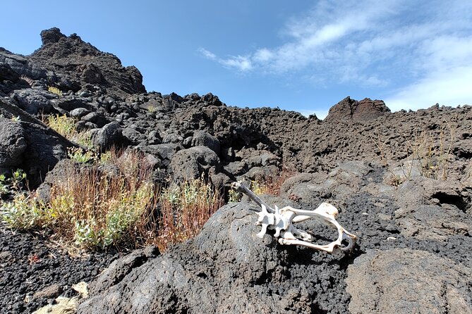 trekking-to-bottoniera-craters