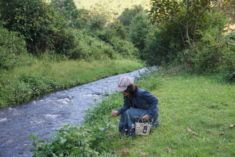 Trekking to Hidden Waterfall & Sturgeon Farm for dog-lovers - An Overview of the Experience