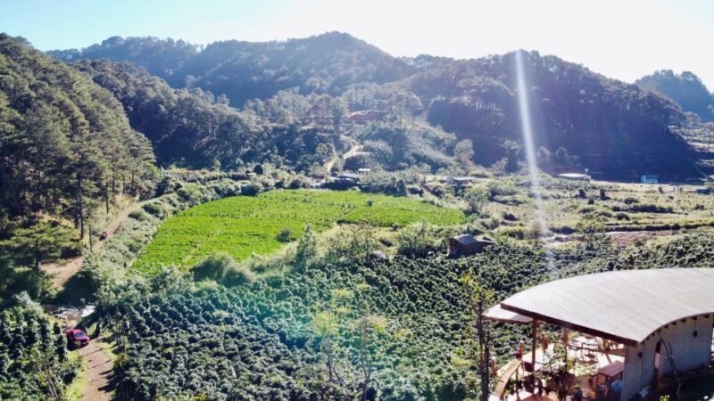 Trekking to Hidden Waterfall & Sturgeon Farm for dog-lovers - The Hidden Waterfall: The Main Attraction