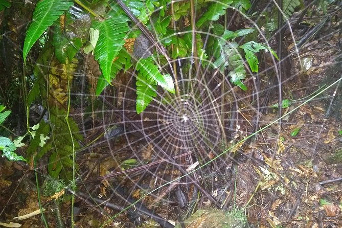 trekking-to-pico-de-loro