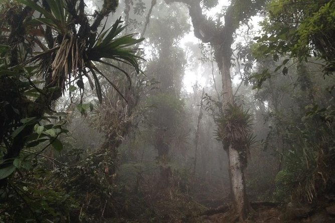 trekking-to-pico-de-loro