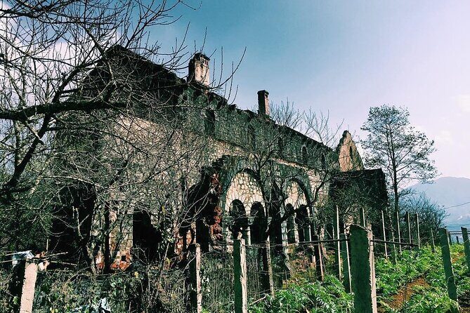 Trekking to Ta Phin, pick medicinal leaves and herbs. - Picking medicinal leaves and herbs: A special highlight