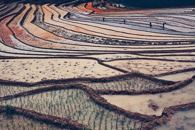 Trekking to Ta Phin, pick medicinal leaves and herbs. - The Sum Up: Who is this tour ideal for?