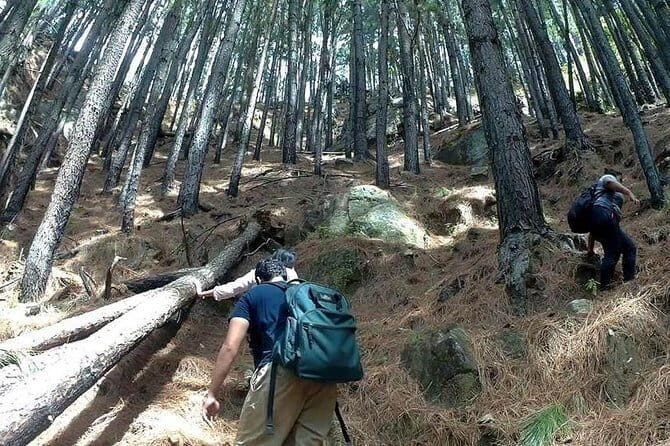 Trekking to The Highest Waterfall in Sri Lanka from Ella - The Trek to Bambarakanda Falls: An Adventure Worth Your Time