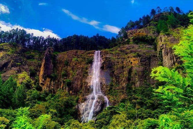 Trekking to The Highest Waterfall in Sri Lanka from Ella - What Reviewers Say
