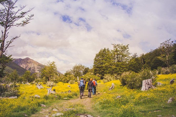 trekking-to-vinciguerra-glacier-and-laguna-de-los-tempanos