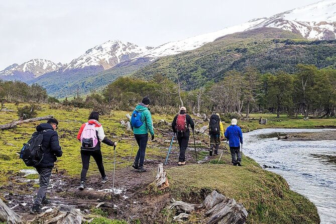 trekking-vinciguerra-glacier-and-laguna-de-los-tempanos