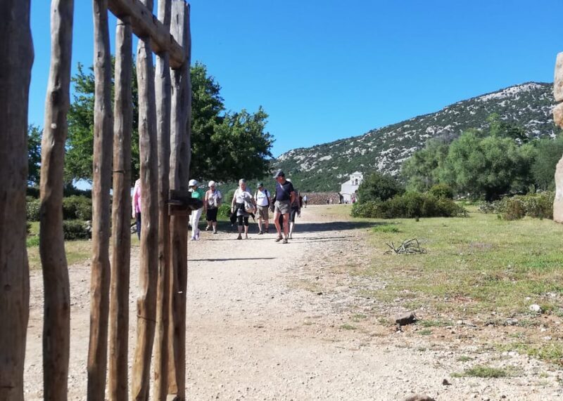 Trenino Supramonte: Guided tour of Golgo plateau - What Travelers Say
