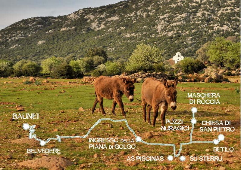 Trenino Supramonte: Guided tour of Golgo plateau - Practical Tips for Travelers
