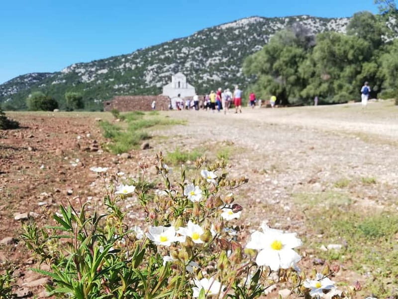 Trenino Supramonte: Guided tour of Golgo plateau - FAQ