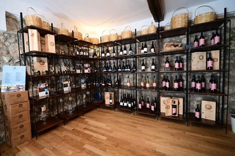 Trentinara Wine Tasting and Walking Tour - Key Points