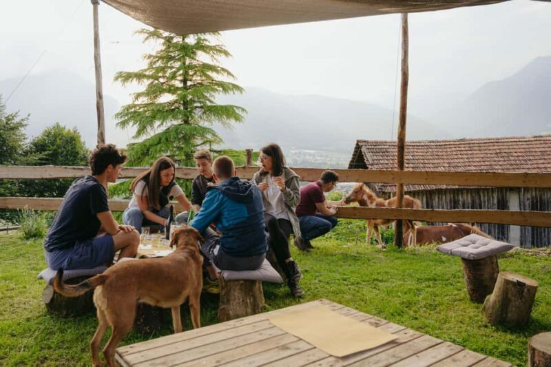 Trentino Agriconda: AgriBreak: an authentic snack surrounded by nature - The Experience From a Traveler’s Perspective