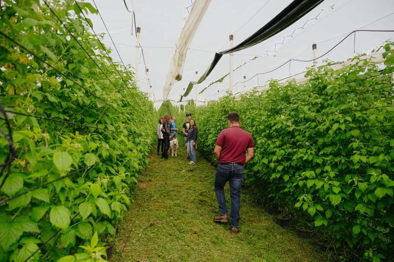 Trentino Agriconda: frutTIAMO...Explore, Learn, Taste Small Fruits - Tasting and Artisanal Products