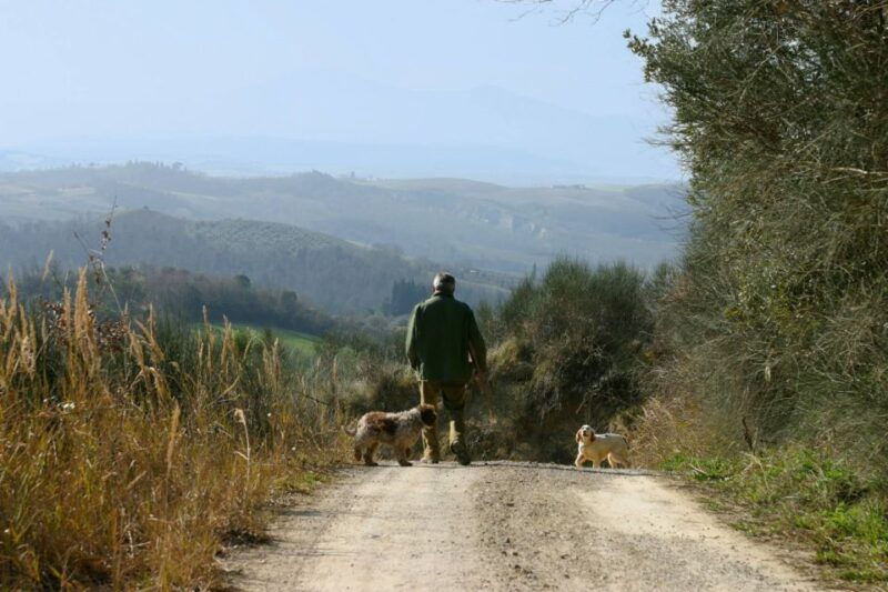 trequanda-tuscan-truffle-hunting-experience-with-lunch
