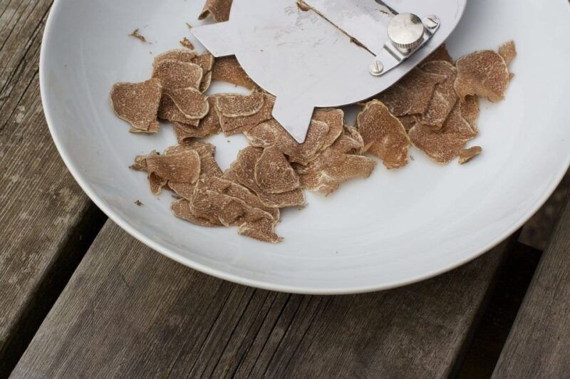 trequanda-tuscan-truffle-hunting-experience-with-lunch