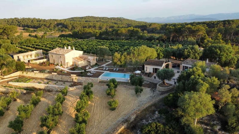 Treurer: Olive Oil Night. Gastronomic experience - The Itinerary: A Closer Look