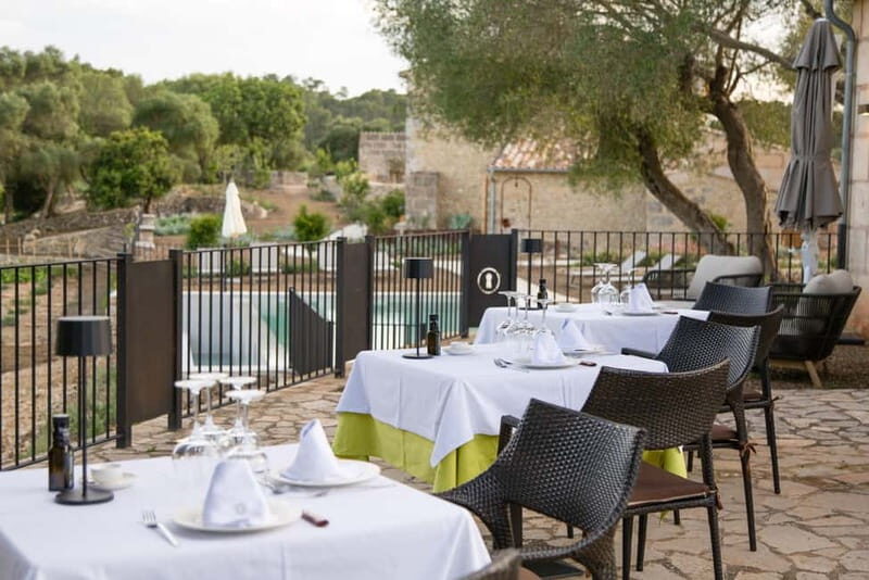 Treurer: Olive Oil Night. Gastronomic experience - Potential Drawbacks