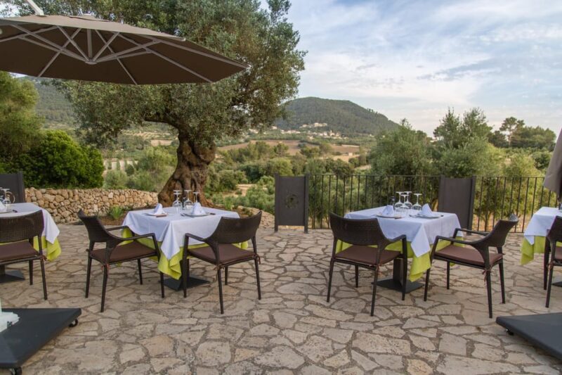 Treurer: Tapas Gourmet and Extra Virgin Olive Oil - The Value of This Experience