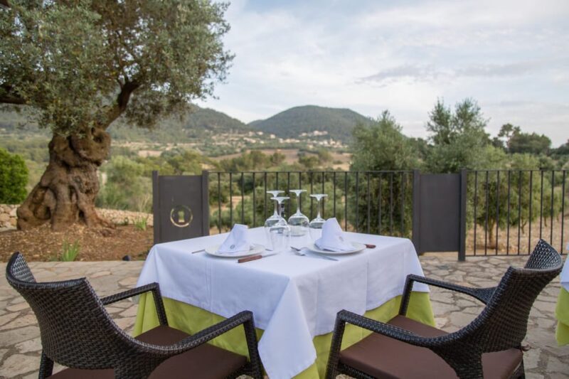 Treurer: Tapas Gourmet and Extra Virgin Olive Oil - Who Will Love This Tour?