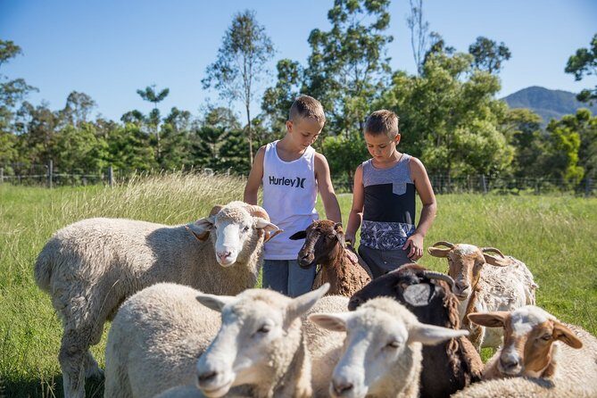 Trevena Glen 1hr Animal Tour - Introduction