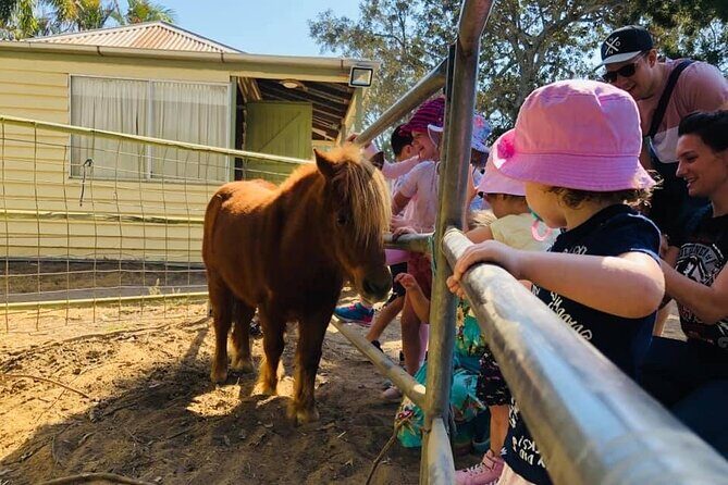 Trevena Glen 1hr Animal Tour - Accessibility and Practical Details