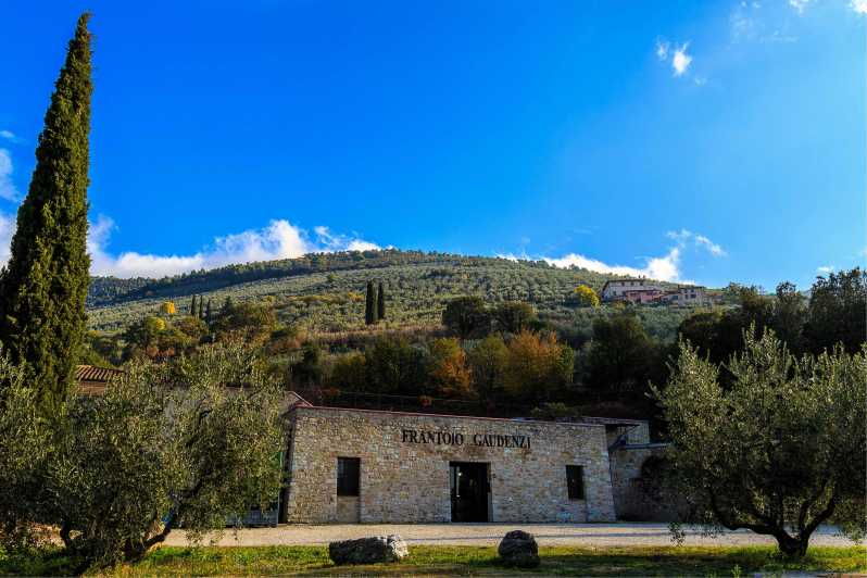trevi-guided-tour-and-tasting-at-frantoio-gaudenzi