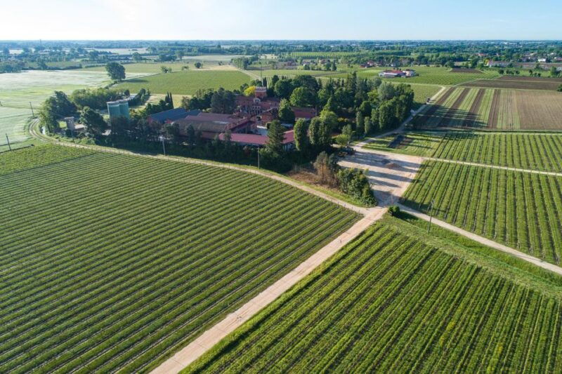 treviso-neighborhood-tenute-tomasella-wine-experience