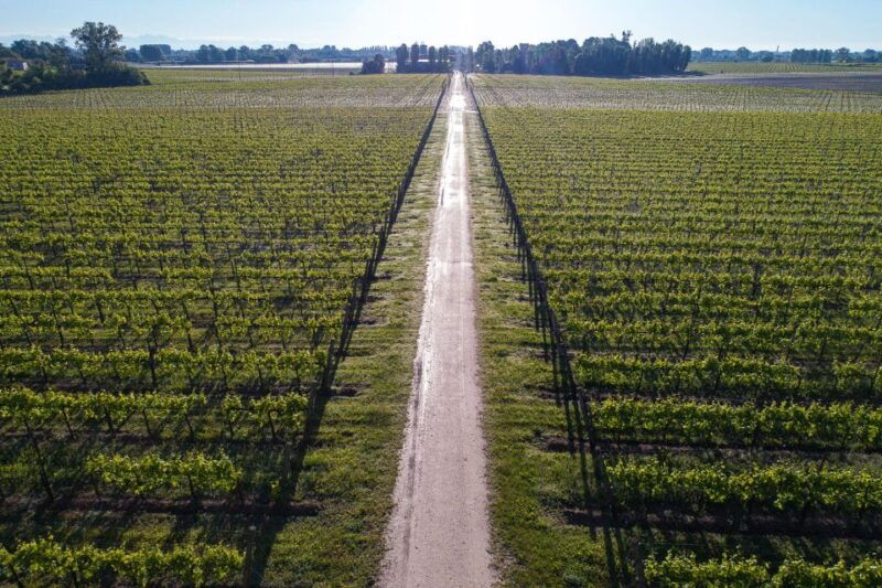 treviso-neighborhood-tenute-tomasella-wine-experience
