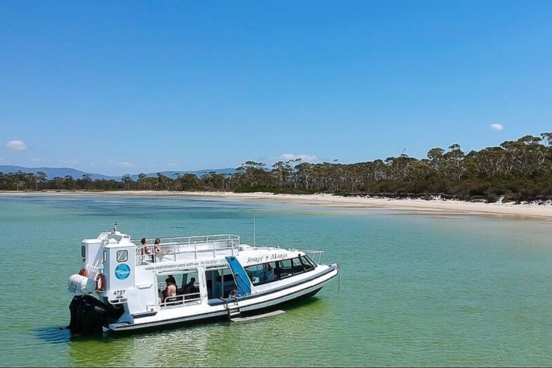 Triabunna: Maria Island and Ile Des Phoques Day Trip by Boat - An In-Depth Look at the Experience