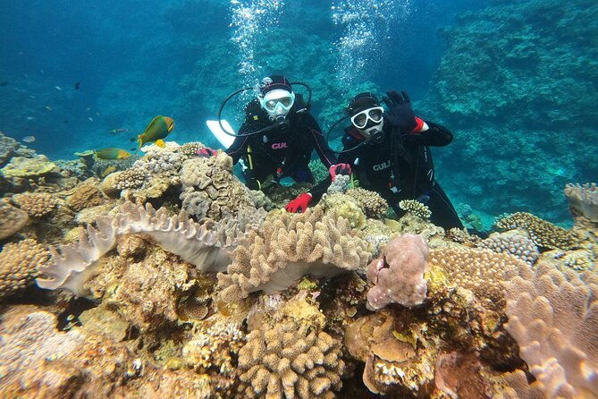trial-boat-dive-1-dive-at-nakijin-motobu-okinawa