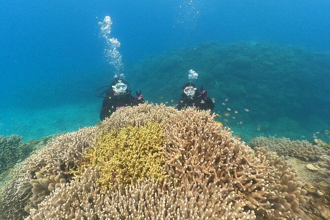 trial-boat-dive-1-dive-at-nakijin-motobu-okinawa