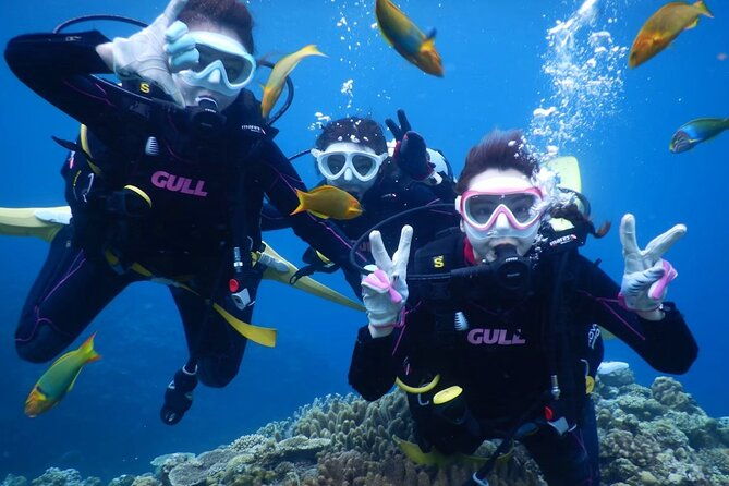 trial-boat-dive-2-dives-at-nakijin-motobu-okinawa