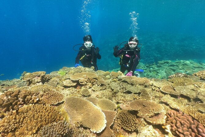 trial-boat-dive-2-dives-at-nakijin-motobu-okinawa