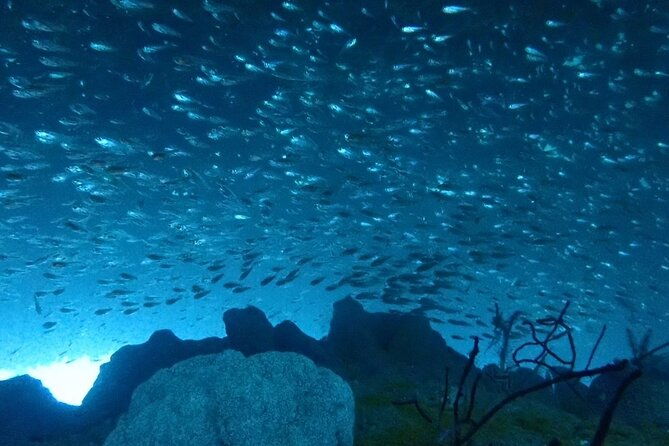 trial-diving-tour-that-even-inexperienced-people-can-enjoy-safely