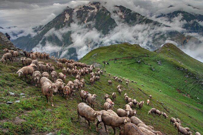 Tribes From Pakistan - Authentic Experiences from Past Travelers