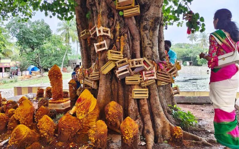 Trichy: Navagraha Temple Tour of Sun, Moon and Rahu - Potential Drawbacks