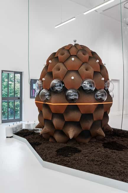 Triennale Milano: Guided Tour to the Exhibition We the Bacteria - Final Thoughts