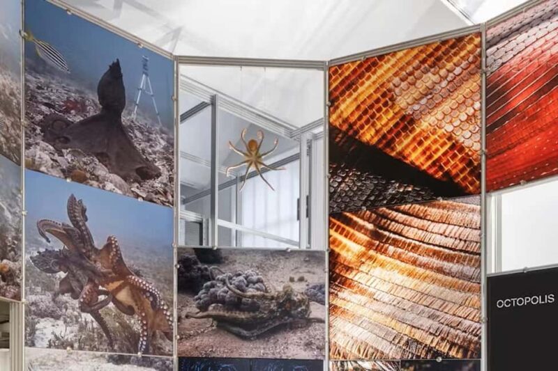 Triennale Milano: Guided visit  Living together: biodiversity and health - FAQ