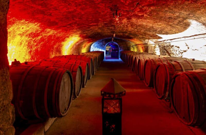 Trier: Mosel wine meets history  wine tour with cellar visit - Key Points