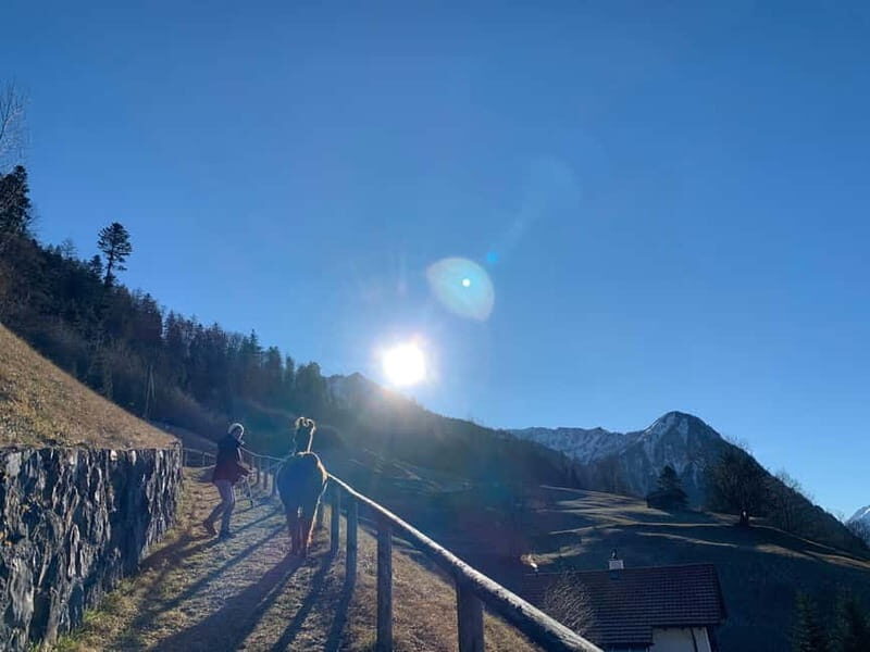 Triesenberg: Llama hike with a delicious BBQ in the middle of the forest - Key Points