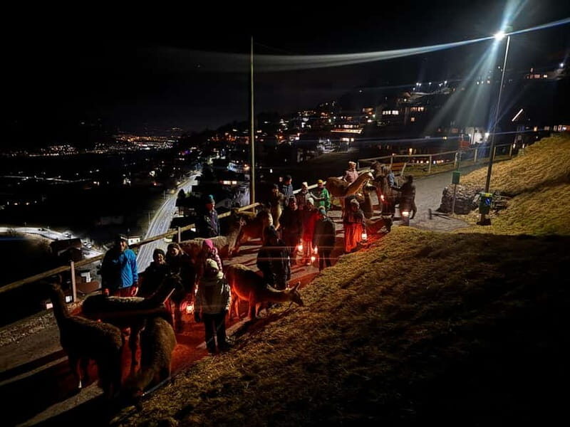 Triesenberg: Llama hike with a delicious BBQ in the middle of the forest - Detailed Breakdown of the Itinerary